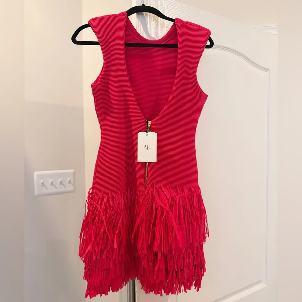 Aje Rushes Raffia Knit Dress . Never Worn - Picture 1 of 5